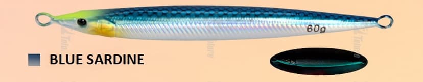 Blue-Sardine2-1.jpg