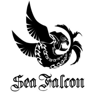 Sea Falcon Jigs